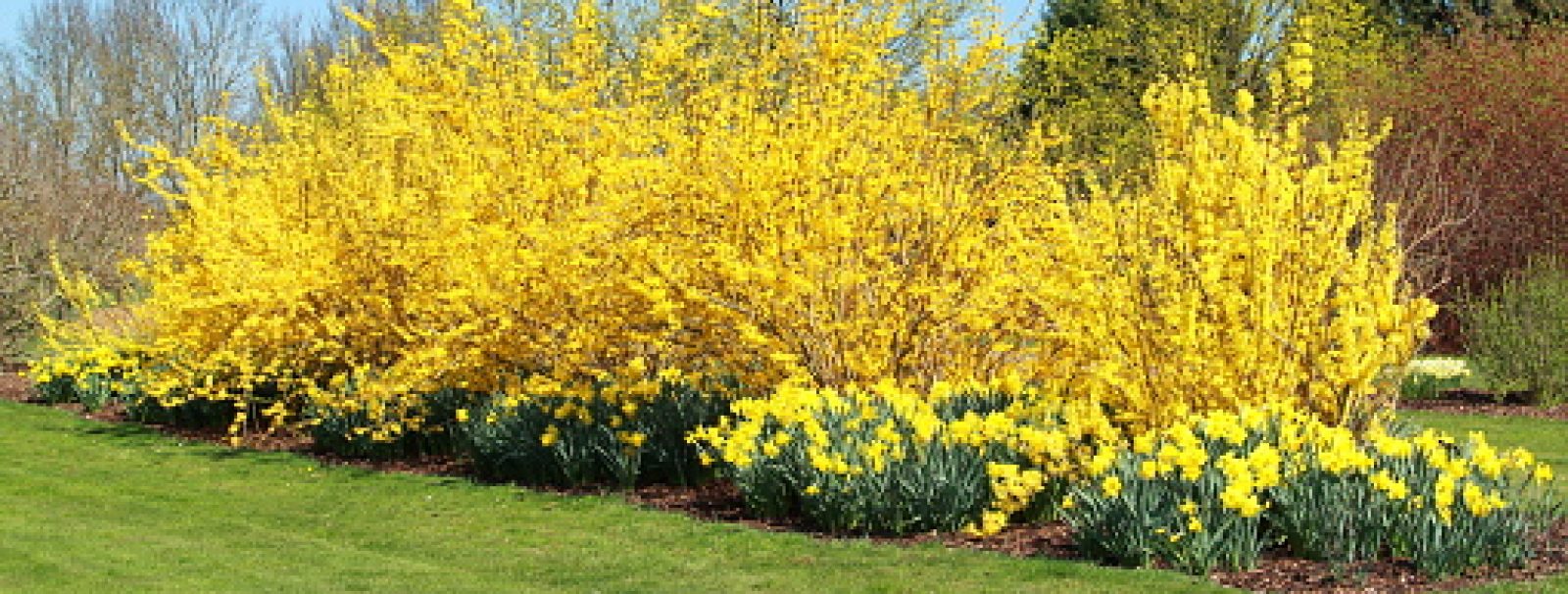 Spring is finally here 